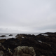 Illustration for article titled Tofino and Ucluelet